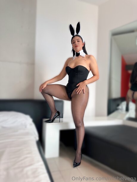 Mishelvega