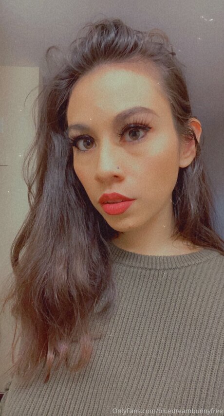 Bluedreambunnyfree