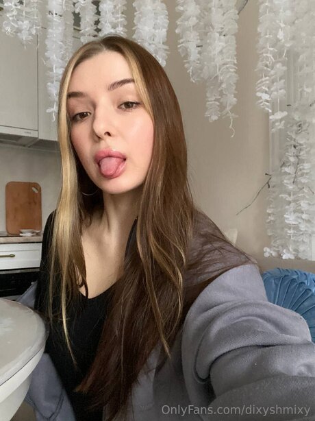 Dixyshmixy