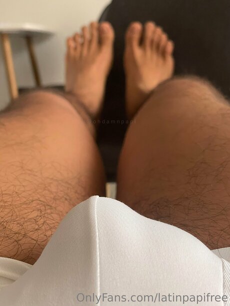 Latinpapifree