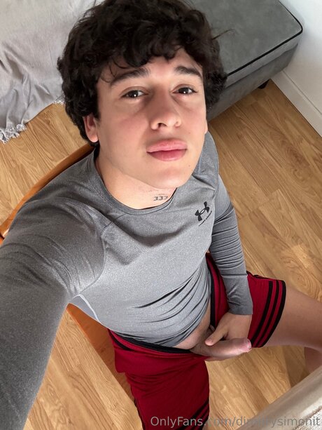 Dimitrysimonit