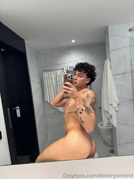 Dimitrysimonit