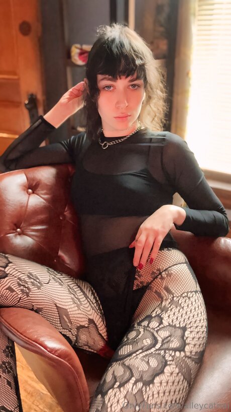 Alleycatnai
