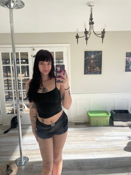 Nacktes geleaktes OnlyFans-Foto von Thetattedfairy