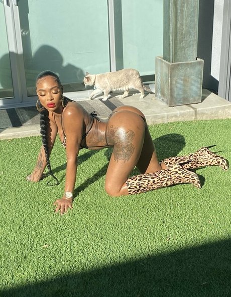 Shay Brown