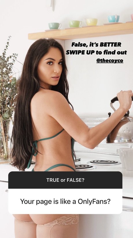 Vanessa christine