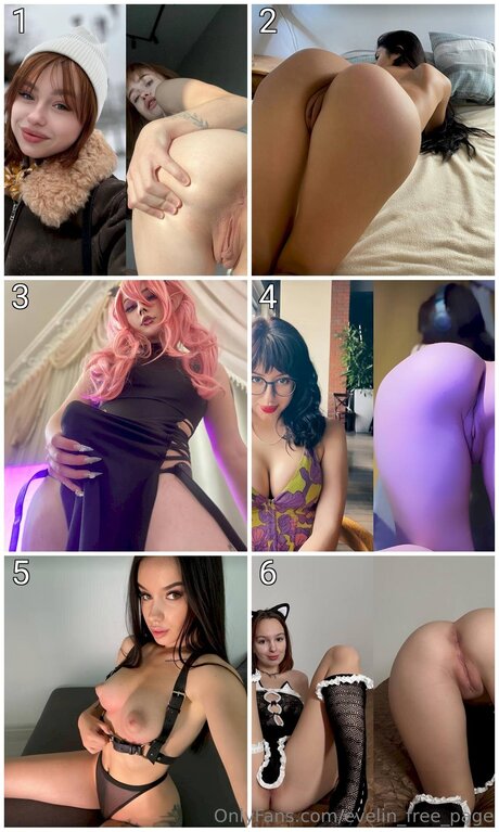 Evelin Free Page