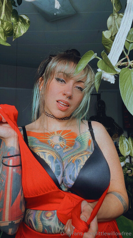 Nacktes geleaktes OnlyFans-Foto von Littlewillowfree
