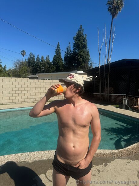 Hayesgrier