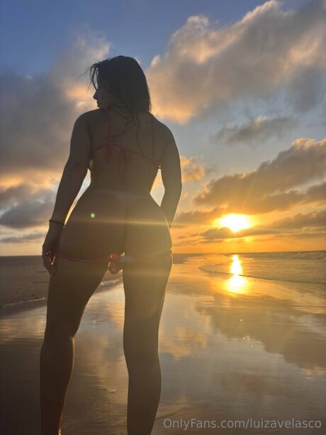 Luizavelasco