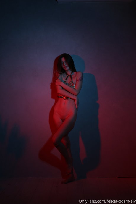Nacktes geleaktes OnlyFans-Foto von Felicia Vina