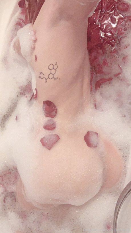 Nacktes geleaktes OnlyFans-Foto von Felicia Vina