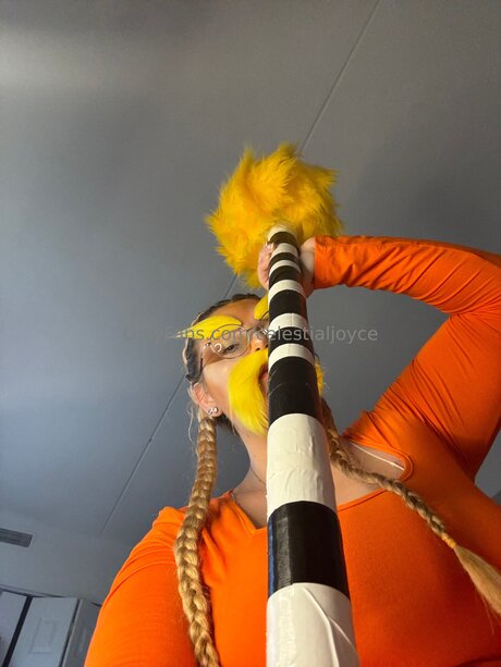 Celestialjoyce