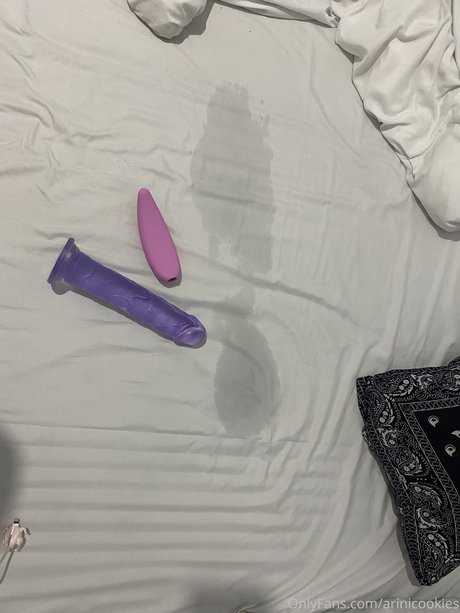 Nacktes geleaktes OnlyFans-Foto von Arina Kortchov