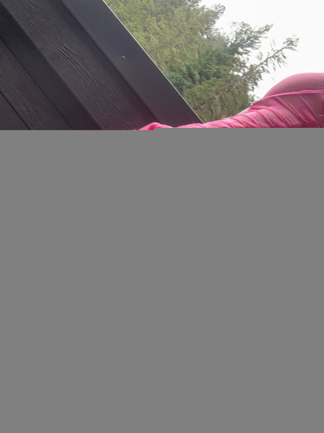 Nacktes geleaktes OnlyFans-Foto von Mswilderness420 #1625