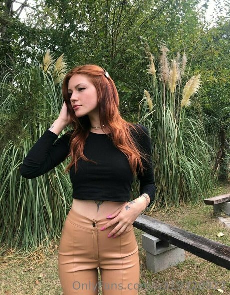 Laiibrusa