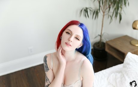 Zorii
