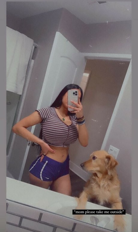 Noheli :
