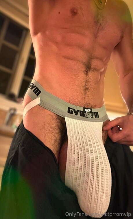 Viktorromvip