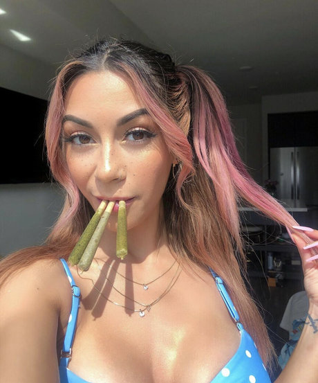 Trippytreez