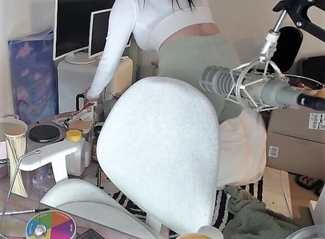 Ariasaki