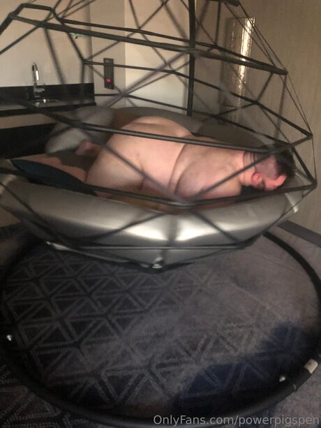 Powerpigspen