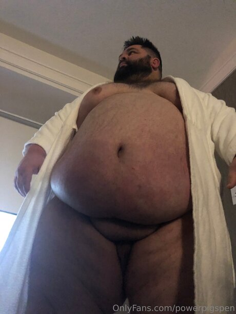 Powerpigspen