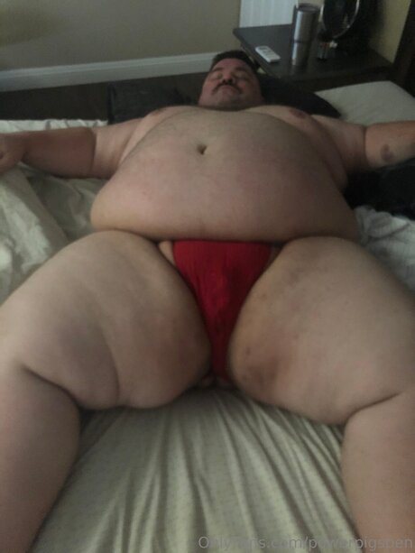 Powerpigspen