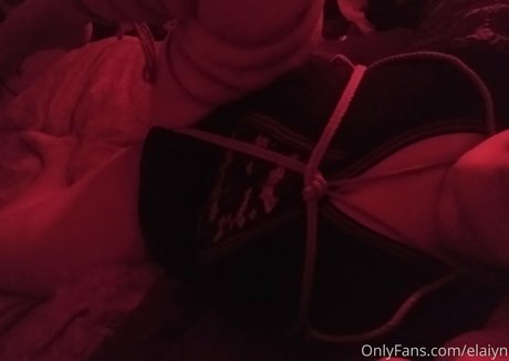Evelynmusefree