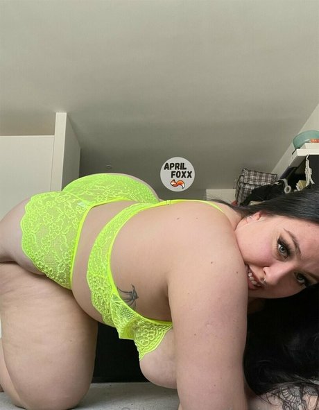 Aprilfoxxxx