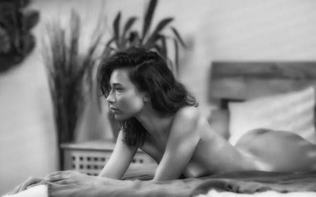 Nikol Beylik