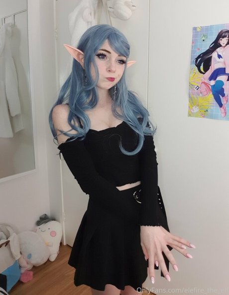 Elefiretheelf