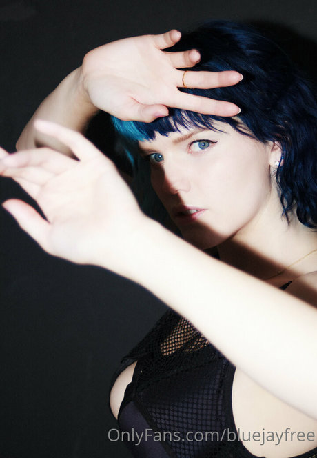 Bluejayfree