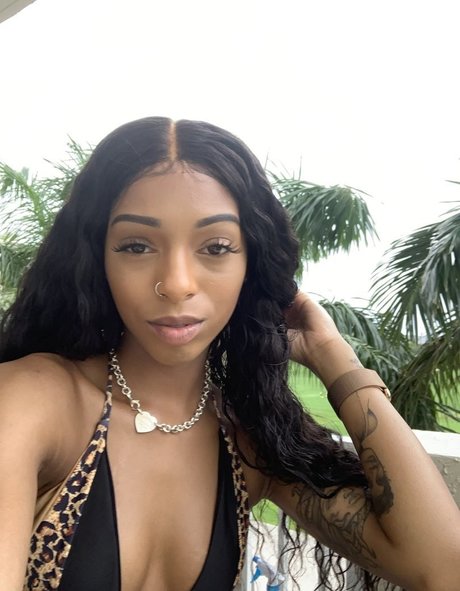 Briabackwoods