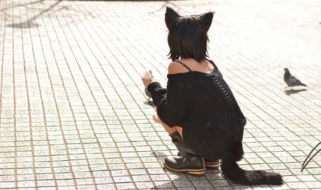 Nonsummerjack
