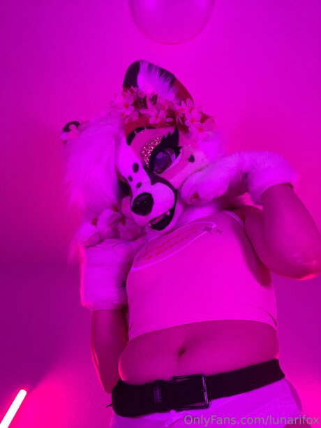 Lunarifox