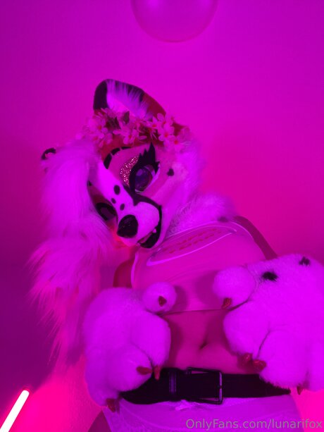 Lunarifox