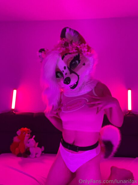 Lunarifox