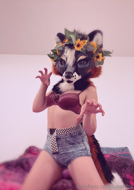 Lunarifox