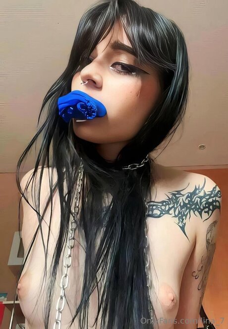 Lina 7