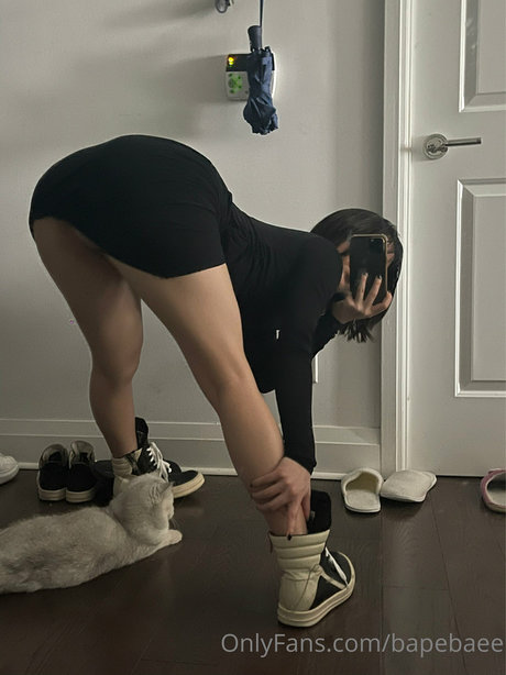 Bapebaee
