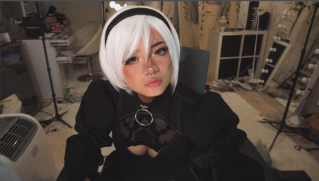 Angelicat