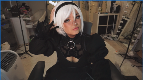 Angelicat