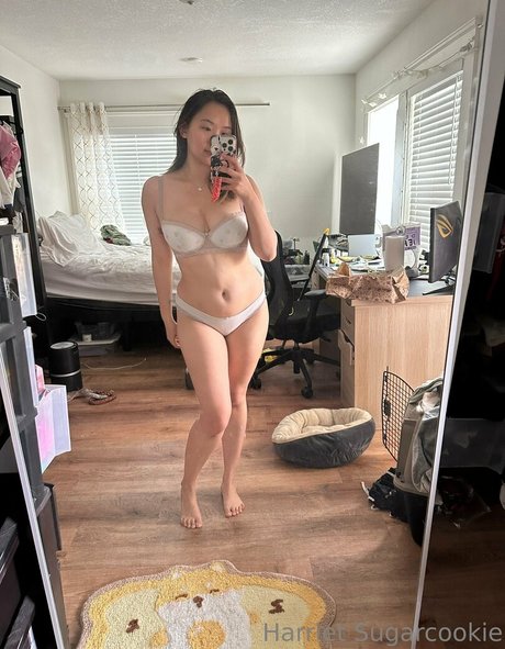 Harriet Sugarcookie
