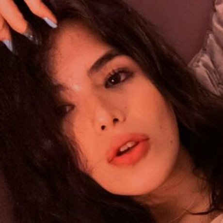 Elvirarelv