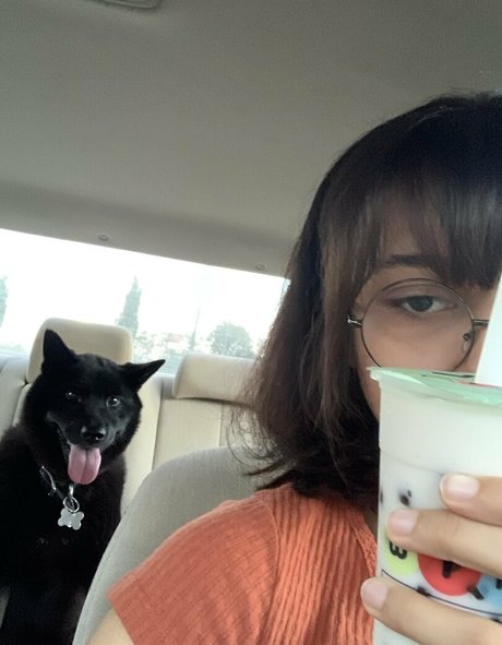 Glasses_gf