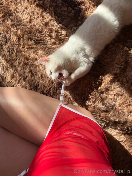 Nacktes geleaktes OnlyFans-Foto von Crystal P