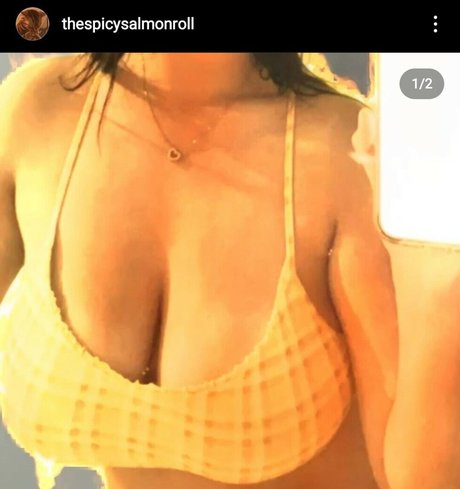 Thespicysalmonroll