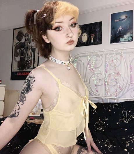 Nacktes geleaktes OnlyFans-Foto von Starryfawnn