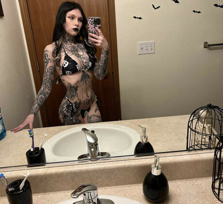 Tyniquewebster